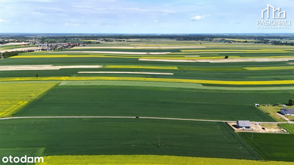 Zakład przetwórstwa Omega